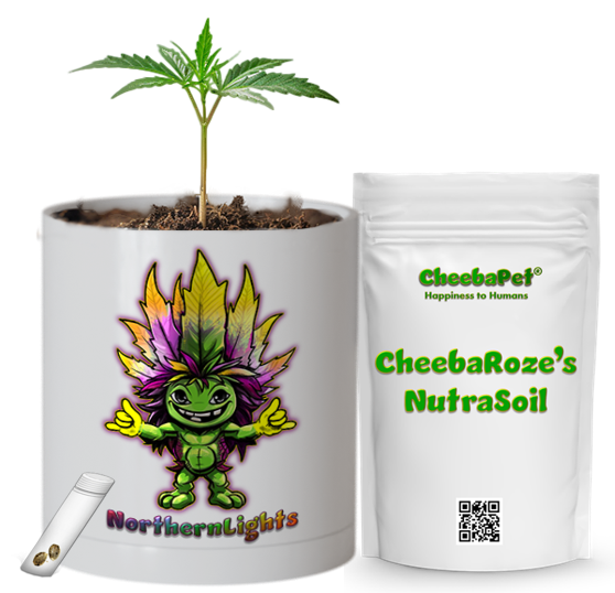 CheebaPet Planter Kit - Alpha Collection - NorthernLights