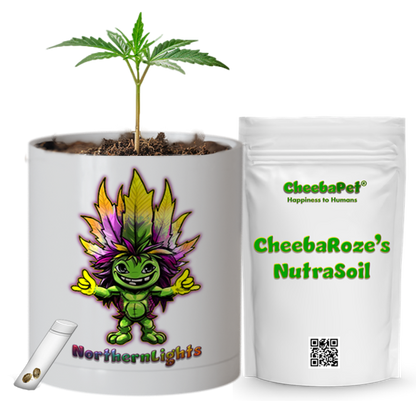 CheebaPet Planter Kit - Alpha Collection - NorthernLights