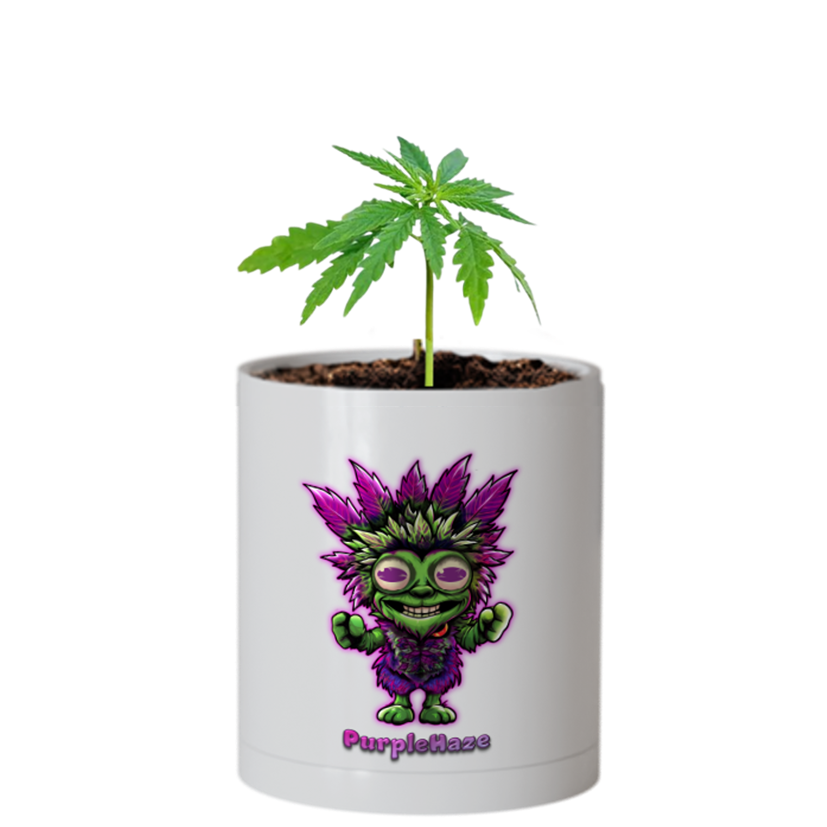 CheebaPet Planter Kit - Alpha Collection - PurpleHaze