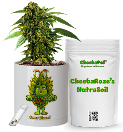 CheebaPet Planter Kit - Alpha Collection - SourDiesel