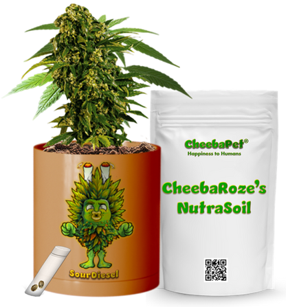 CheebaPet Planter Kit - Alpha Collection - SourDiesel