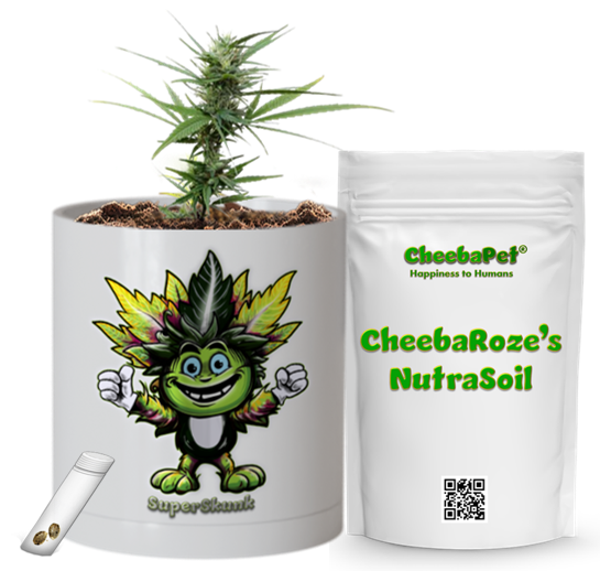 CheebaPet Planter Kit - Alpha Collection - SuperSkunk