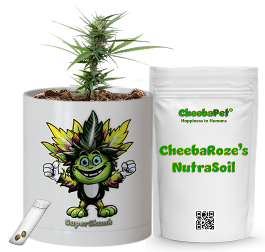 CheebaPet Planter Kit - Alpha Collection - SuperSkunk