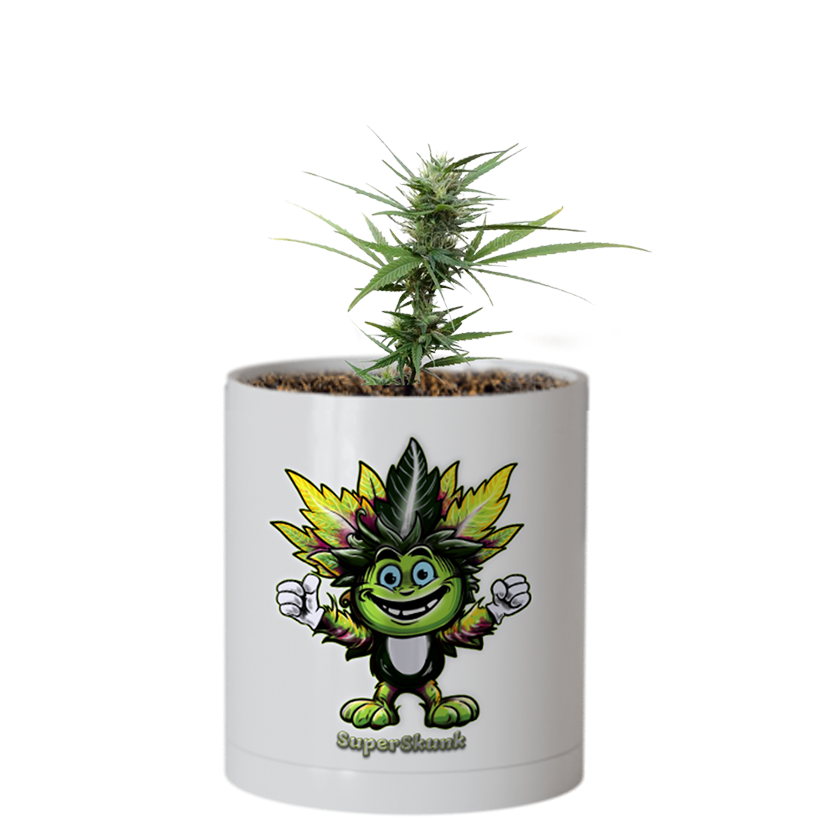 CheebaPet Planter Kit - Alpha Collection - SuperSkunk