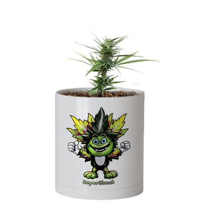 CheebaPet Planter Kit - Alpha Collection - SuperSkunk