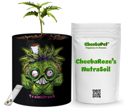 CheebaPet Planter Kit - Alpha Collection - TrainWreck