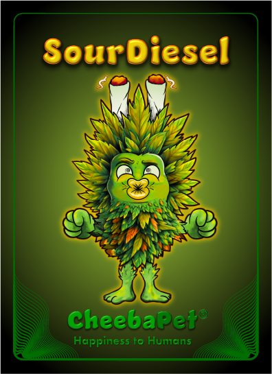 CheebaPet Planter Kit - Alpha Collection - SourDiesel