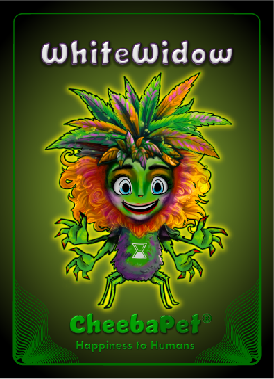 CheebaPet Planter Kit - Alpha Collection - WhiteWidow