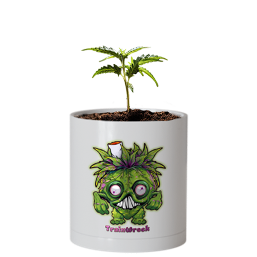 CheebaPet Planter Kit - Alpha Collection - TrainWreck