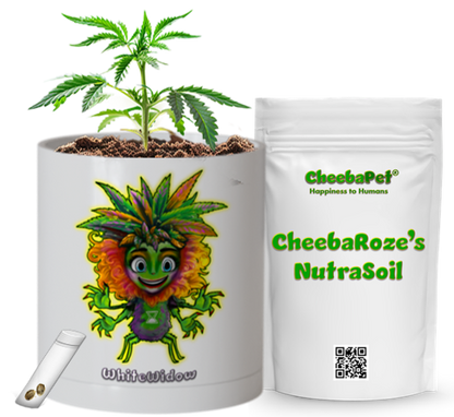 CheebaPet Planter Kit - Alpha Collection - WhiteWidow