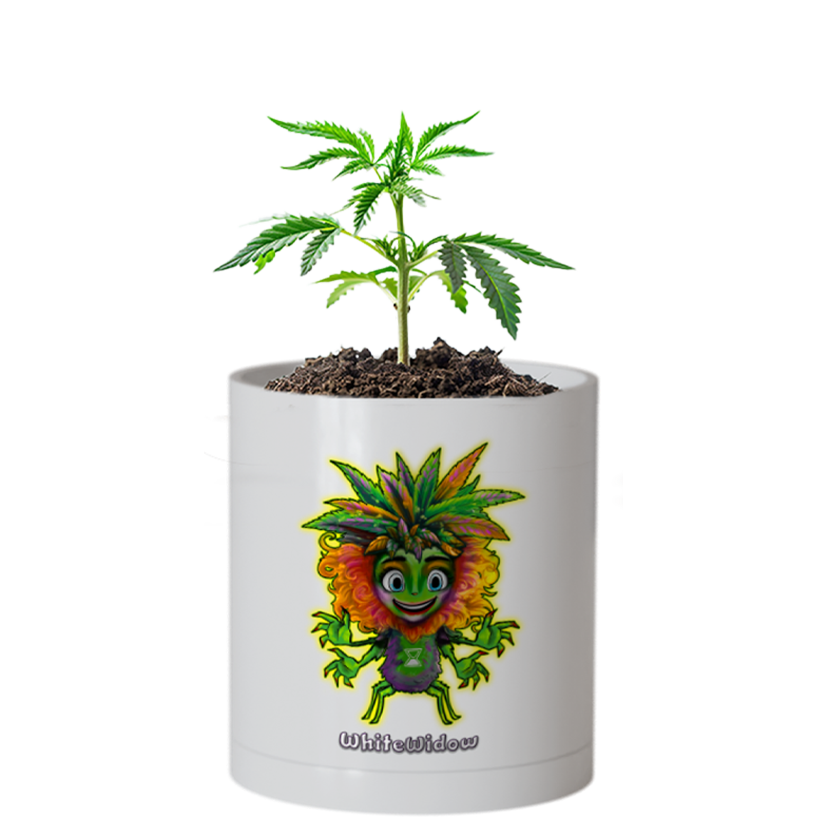 CheebaPet Planter Kit - Alpha Collection - WhiteWidow