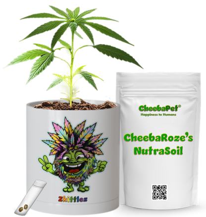 CheebaPet Planter Kit - Alpha Collection - Zkittlez