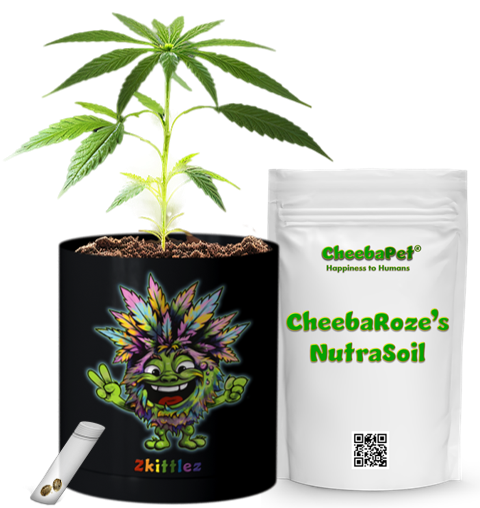 CheebaPet Planter Kit - Alpha Collection - Zkittlez