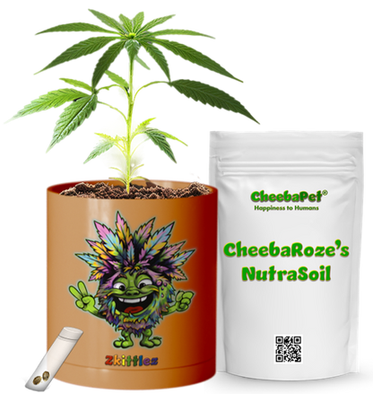 CheebaPet Planter Kit - Alpha Collection - Zkittlez