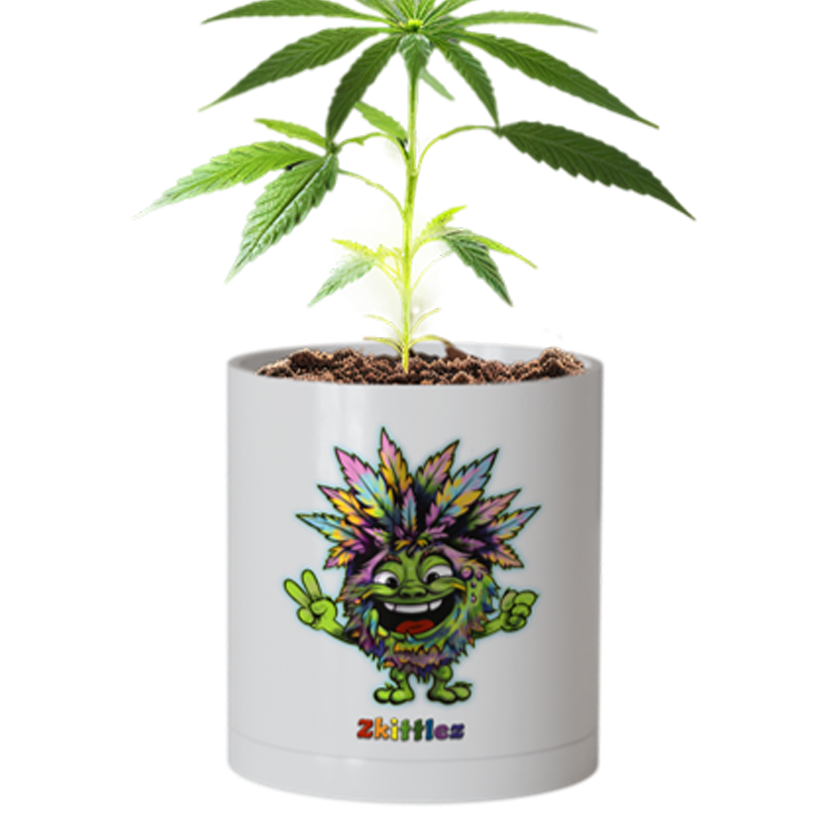 CheebaPet Planter Kit - Alpha Collection - Zkittlez