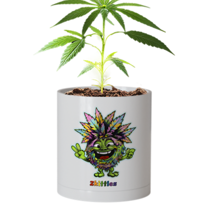 CheebaPet Planter Kit - Alpha Collection - Zkittlez