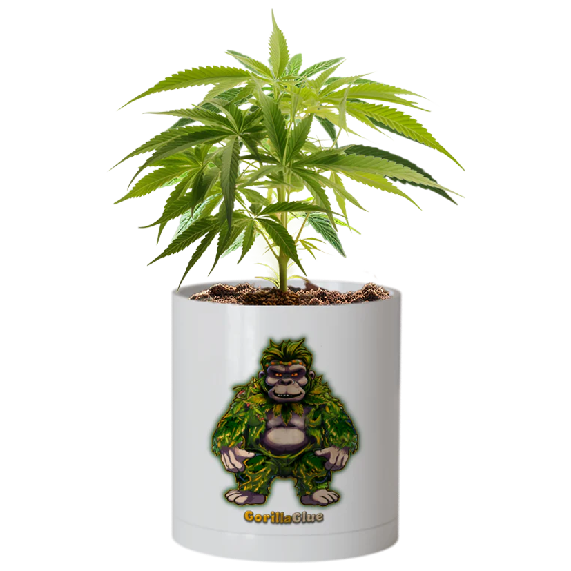 CheebaPet Planter Kit - Alpha Collection - GorillaGlue