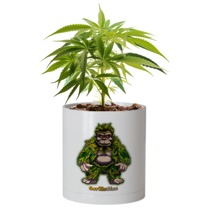 CheebaPet Planter Kit - Alpha Collection - GorillaGlue